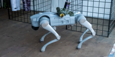 PE_4339